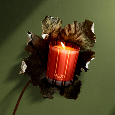 NEST Fragrances Votive Candle in Pumpkin Chai