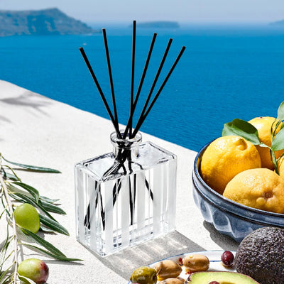 NEST Fragrances Reed Diffuser in Santorini Olive & Citron