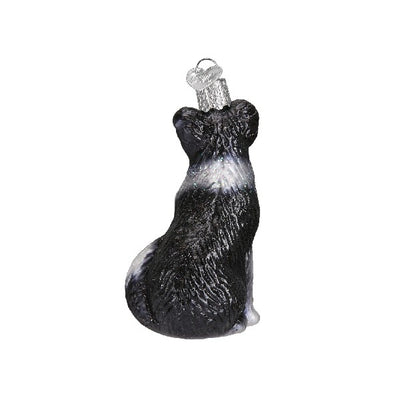 Old World Christmas Border Collie Ornament