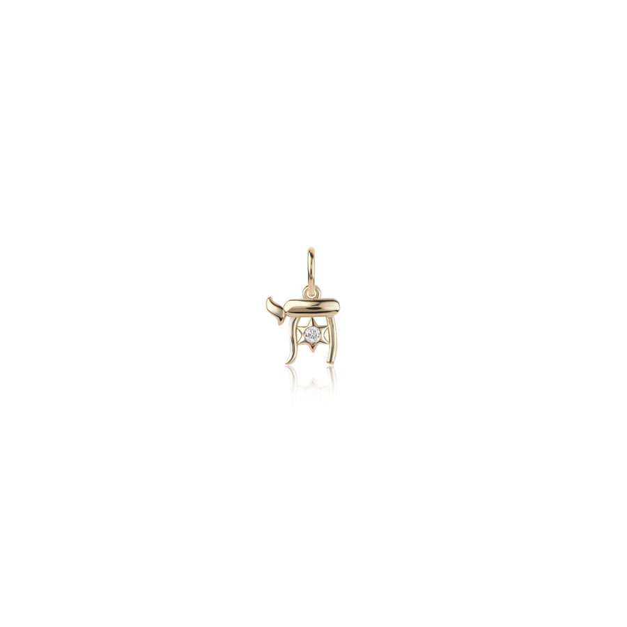 Rachel Reid Chai & Star of David Charm