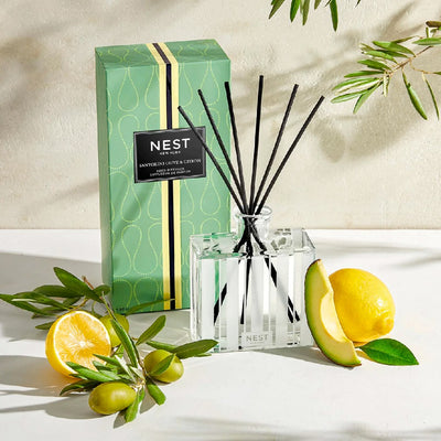 NEST Fragrances Reed Diffuser in Santorini Olive & Citron