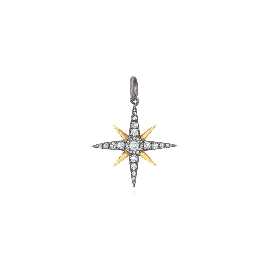Tara Mikolay Two-Tone Diamond North Star Charm