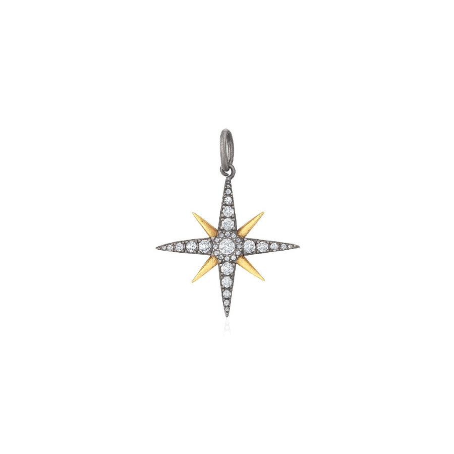 Tara Mikolay Two-Tone Diamond North Star Charm