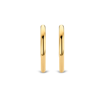 Ti Sento Milano Classic Hoop Earrings