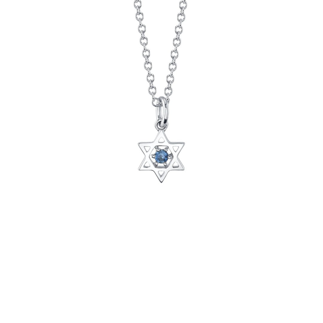 Shy Creation Sapphire Star of David Necklace