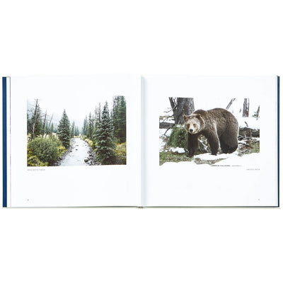 Yellowstone: A Land of Wild & Wonder Leather Bound Keepsake Book