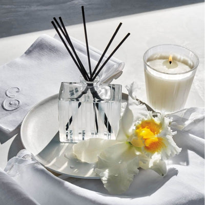 Nest Fragrances Classic Candle in Sicilian Tangerine