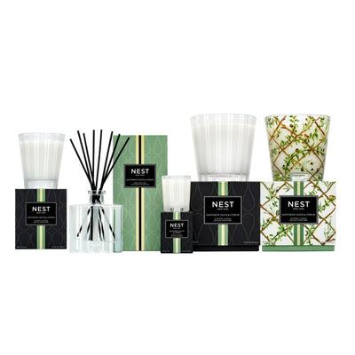 Nest Fragrances Classic Candle in Santorini Olive & Citron