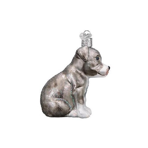 Old World Christmas Pitbull Pup Ornament