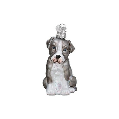 Old World Christmas Pitbull Pup Ornament