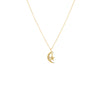 Tara Mikolay Raw Diamond Crescent Moon and Star Petite Pendant Necklace