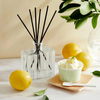 NEST Fragrances Reed Diffuser in Amalfi Lemon & Mint
