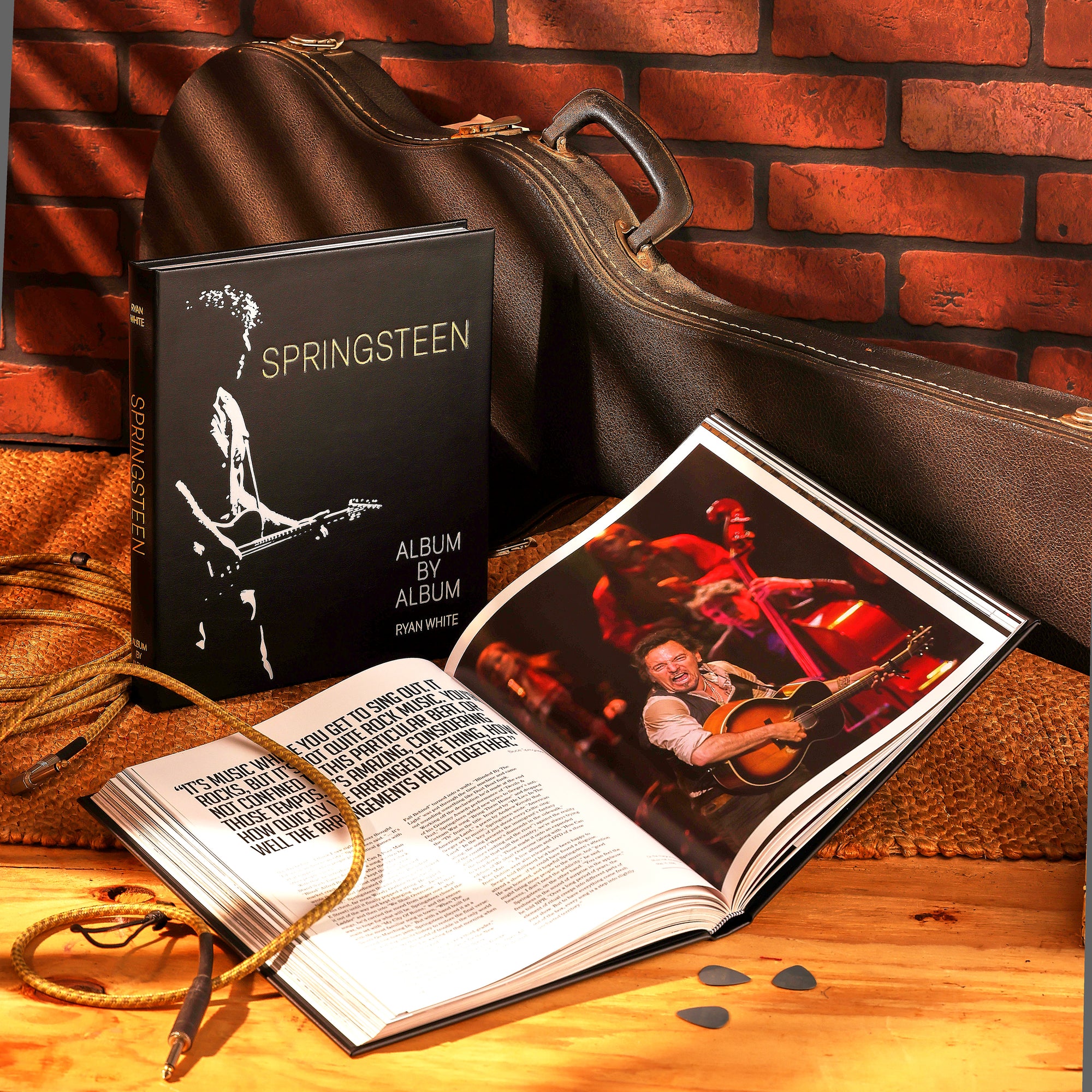 Springsteen: Album by Album Leather Bound Keepsake Book