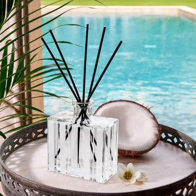 NEST Fragrances Reed Diffuser in Coconut & Palm