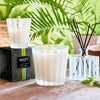 NEST Fragrances Reed Diffuser in Coconut & Palm