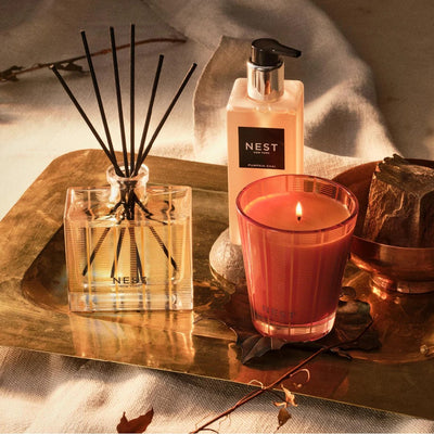 NEST Fragrances Reed Diffuser in Pumpkin Chai