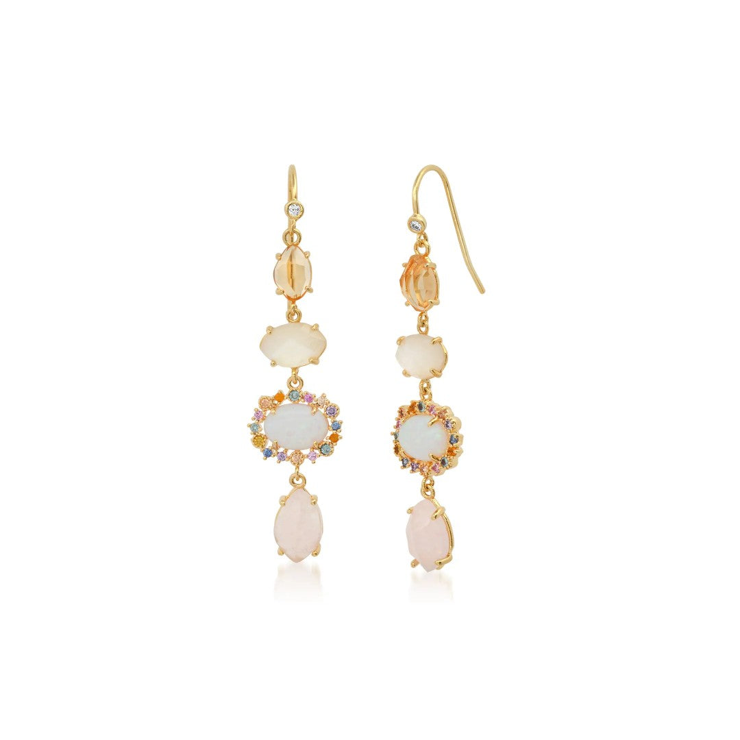 Organic Stone Dangle Earrings