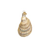 Old World Christmas Oyster with Pearl Ornament