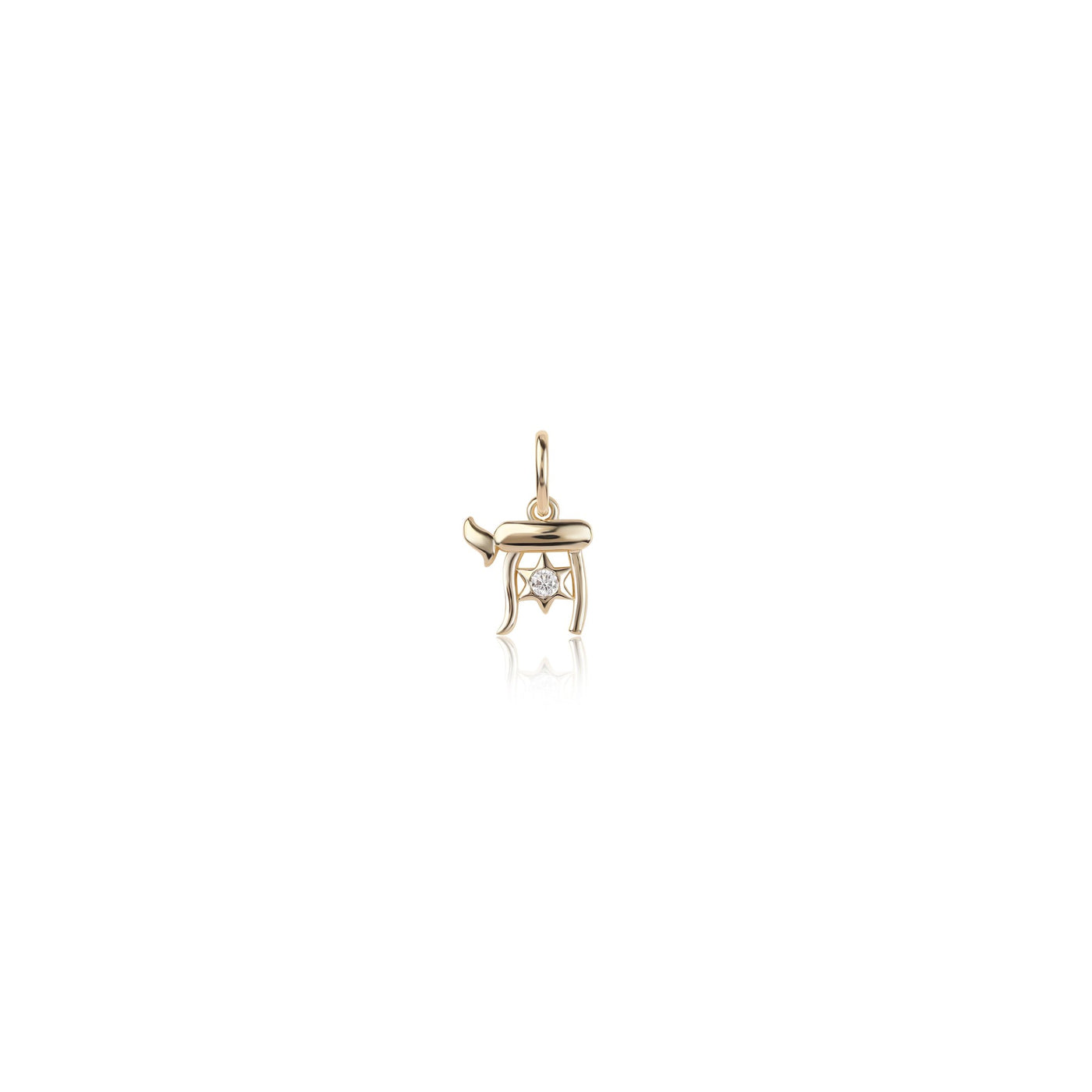 Rachel Reid Chai & Star of David Charm