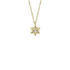 Shy Creation Polished Star of David Necklace
