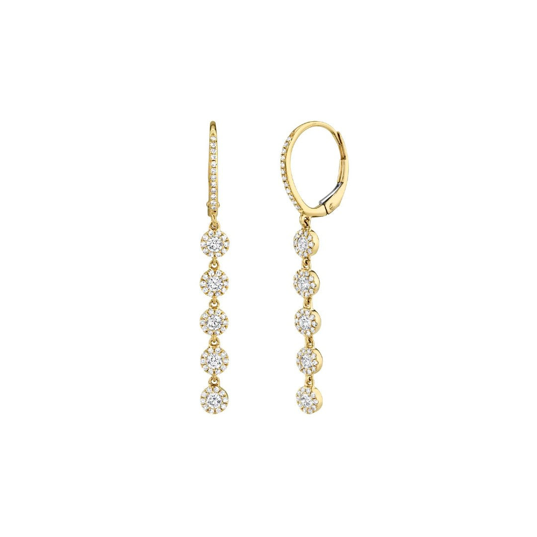 Shy Creation Diamond Circles Linear Earrings