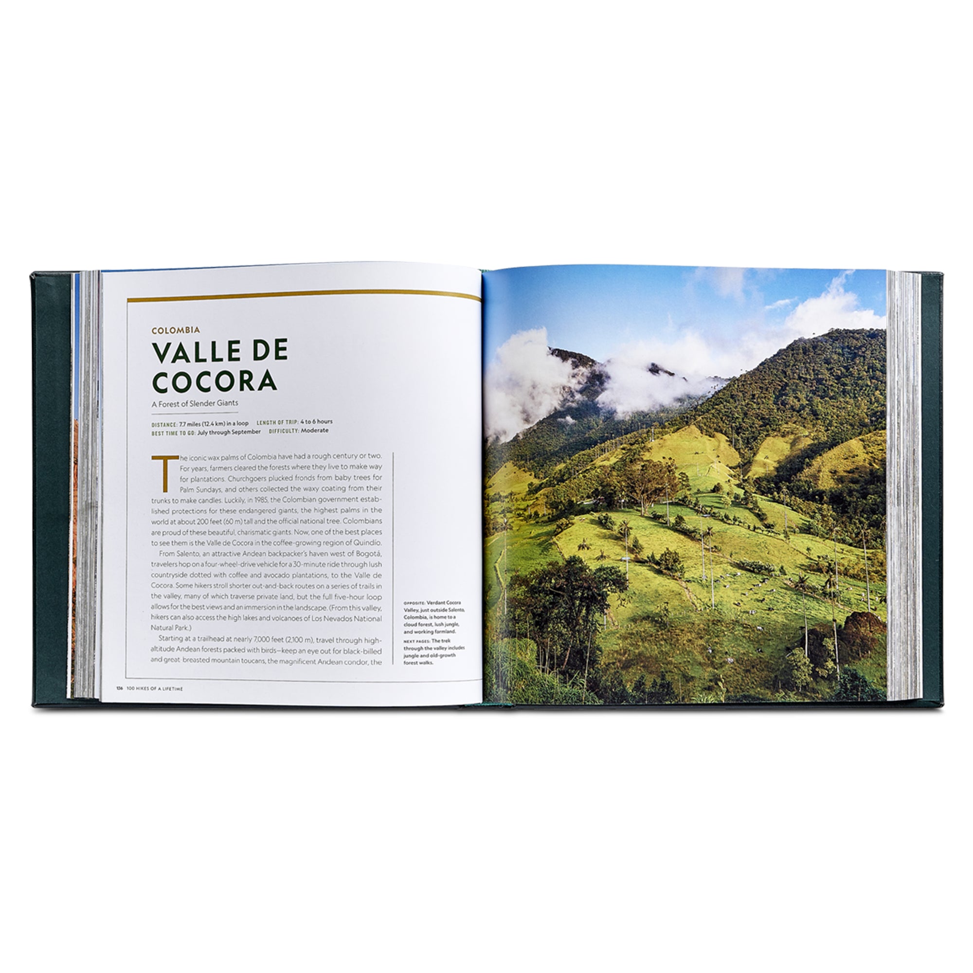 100 Hikes Of A Lifetime in Green Bonded Leather