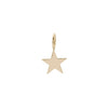 Eklexic Samara Star Charm in Gold