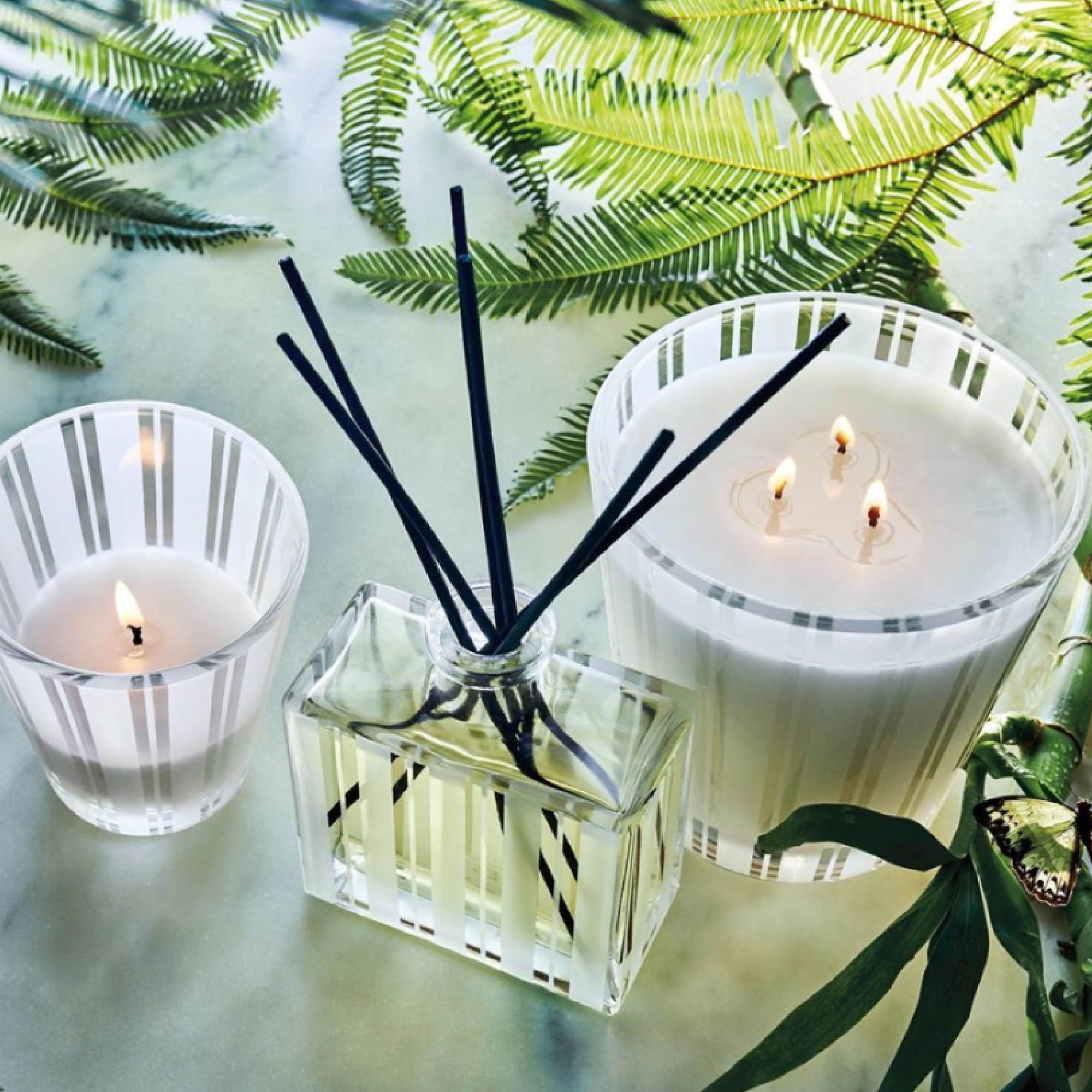 NEST Fragrances Reed Diffuser in Bamboo
